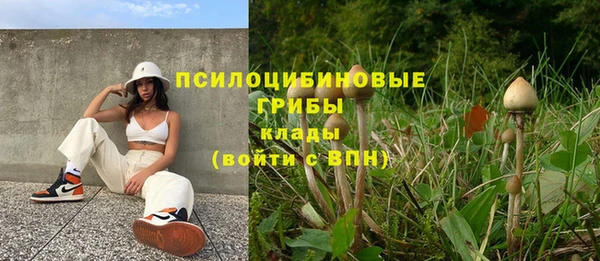 эйфоретик Алексин