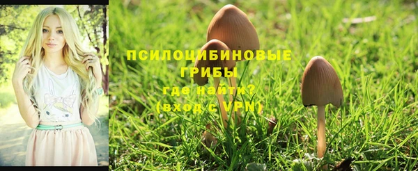 spice Алзамай