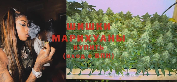spice Алзамай