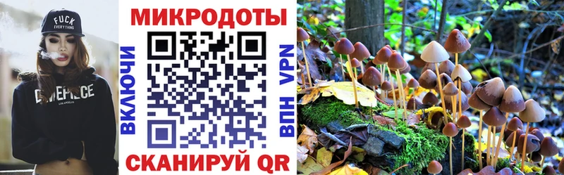 Галлюциногенные грибы GOLDEN TEACHER Циолковский
